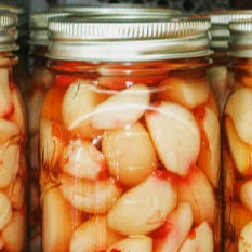 Pickled Garlic